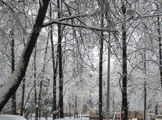 Продажа двухкомнатной квартиры - Ленсовета улица, д.15 