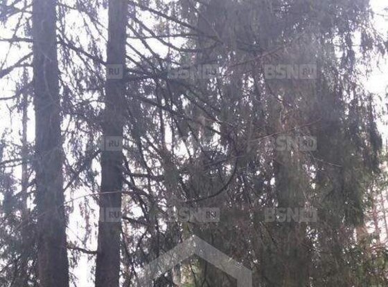 Продажа участка - поселок Солнечное, Солнечное п