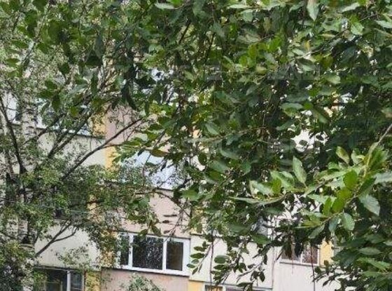 Продажа двухкомнатной квартиры - Энгельса проспект, д.115, корп.1 