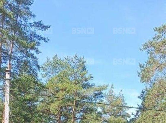 Продажа дома - Сосновый Бор, Сосновая улица