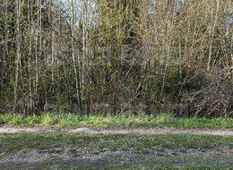 Продажа земельного участка - Ленинградская область, Гатчинский район, Массив Корписалово тер., СТ Пролетарский труд ул. 