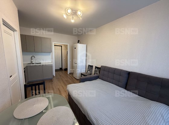 Продажа однокомнатной квартиры - Пушкин, Камероновская улица, д.16 