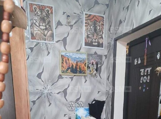 Продажа однокомнатной квартиры - Куйбышева улица, д.16 