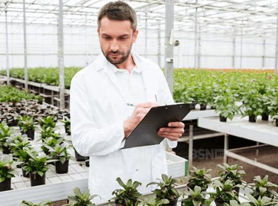 Продажа универсального помещения - Санкт-Петербургское шоссе 