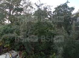 Продажа дачи - Ленинградская область, Гатчинский район, Гатчина г., Ополченцев-Балтийцев ул.