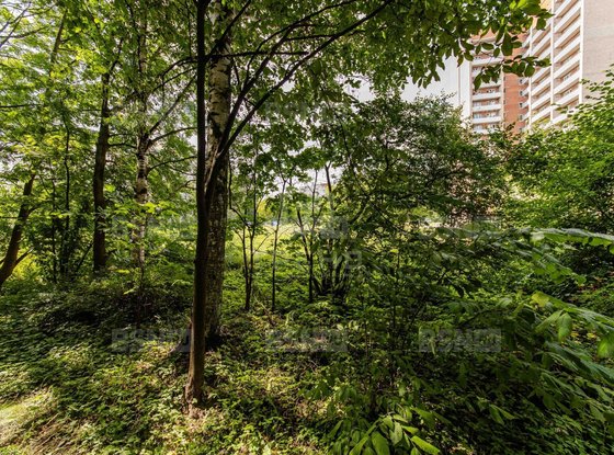 Продажа двухкомнатной квартиры - Альпийский переулок, д.17 