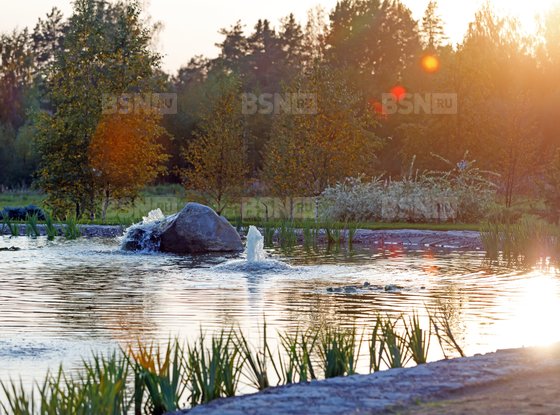 Продажа участка - коттеджный поселок Оазис Парк Репинское, Оазис Парк Репинское кп