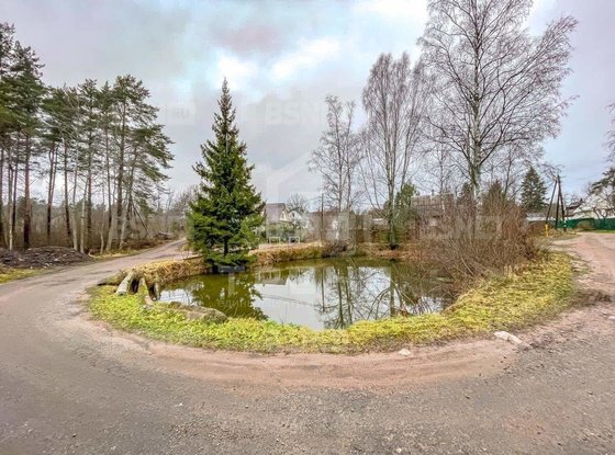 Продажа участка - городской поселок Рощино, Молодёжная улица