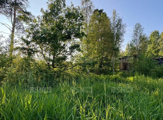 Продажа отдельно стоящего здания - поселок Песочный, Железнодорожная улица, д.14, литера А 