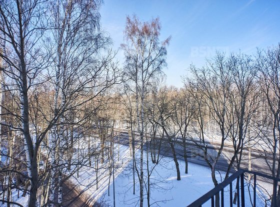 Продажа двухкомнатной квартиры - Тореза проспект, д.100 