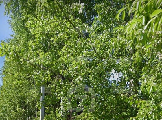 Продажа участка - поселок Ковалево, Речная улица