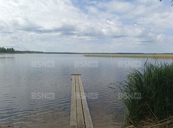 Продажа дома - поселок Ларионово, Заречная улица, д.34, А