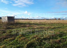 Продажа земельного участка - Ленинградская область, Гатчинский район, Большое Рейзино д. 