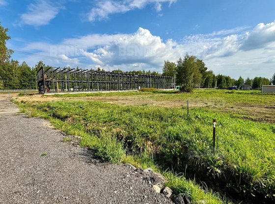 Продажа участка - Всеволожский район, Массив Скотное территория