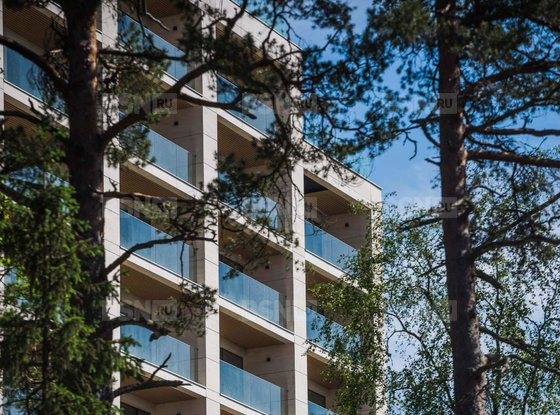 Продажа однокомнатной квартиры в новостройке - Зеленогорск, Приморское шоссе, д.570, л 