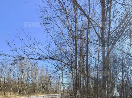 Продажа участка - Ивангород, Госпитальная улица