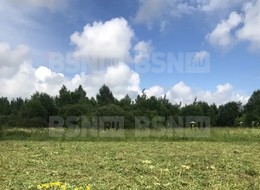 Продажа участка - Россия, Ленинградская область, Гатчинский район, Новая (Елизаветинское с/п) д.