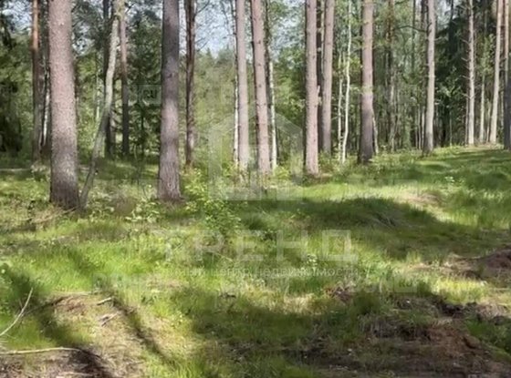 Продажа участка - поселок Солнечное, Солнечное п