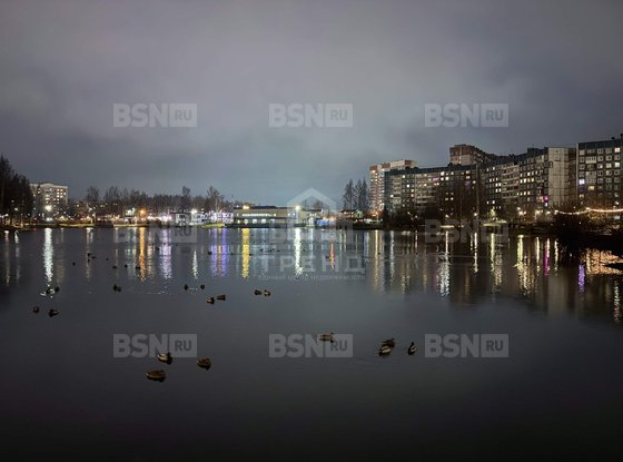 Продажа однокомнатной квартиры - деревня Новое Девяткино, Капральская улица, д.19 