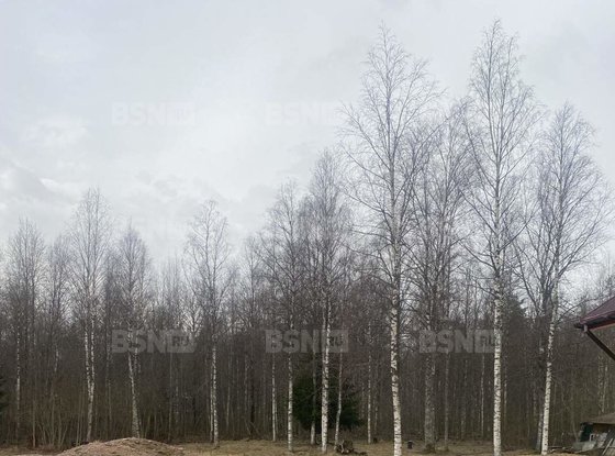 Продажа дома - поселок Межозерное, Черёмуховая улица, д.13