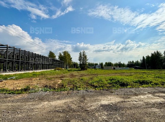 Продажа участка - Всеволожский район, Массив Скотное территория