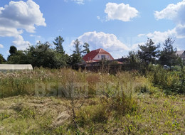 Продажа земельного участка - Ленинградская область, Гатчинский район, Малые Колпаны д., Центральная ул., д.87 