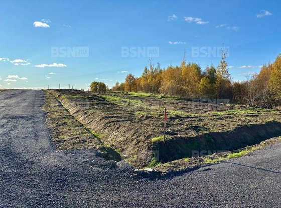 Продажа участка - Всеволожский район, Массив Скотное территория