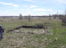 Продажа земельного участка - Ленинградская область, Волосовский район, Большие Озертицы д. 