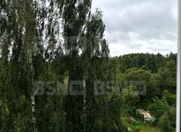 Продажа двухкомнатной квартиры - Россия, Ленинградская область, Гатчинский район район, посёлок Новый Свет, ,  41 