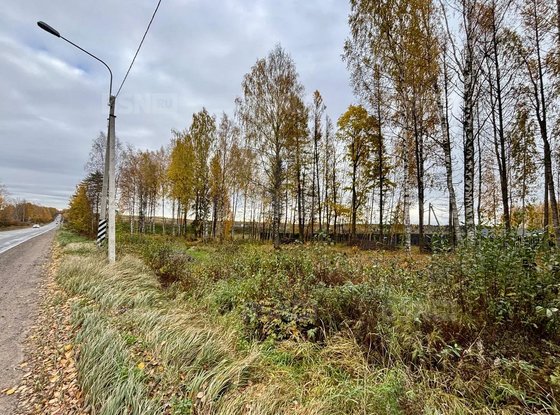 Продажа участка - Всеволожский район, Массив Скотное территория