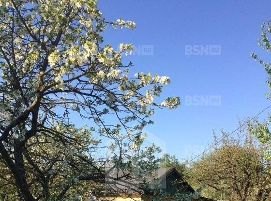 Продажа участка - Цветочная улица