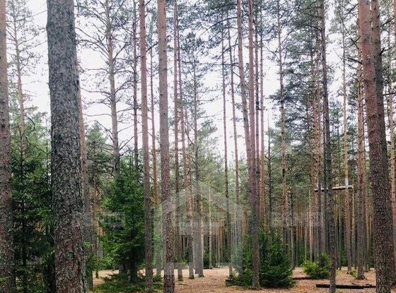 Продажа участка - поселок Солнечное, Солнечное п