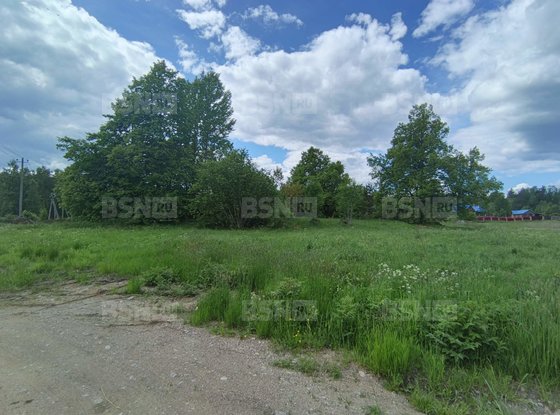 Продажа участка - деревня Хвойное, Хвойное д