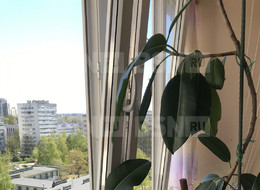 Продажа комнаты в пятикомнатной квартире - Аэродромная ул., 7, к 4 
