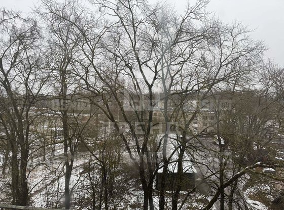 Продажа однокомнатной квартиры - поселок Калитино, Калитино п, д.16 