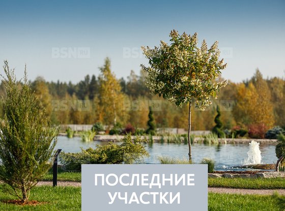 Продажа участка - коттеджный поселок Оазис Парк Репинское, Оазис Парк Репинское кп