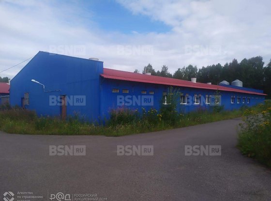 Продажа отдельно стоящего здания - село Алеховщина, Советская улица, д.25, А 