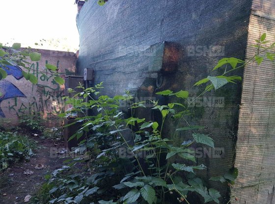 Продажа универсального помещения - Красное Село, Хвойный территория, д.63, литера А 