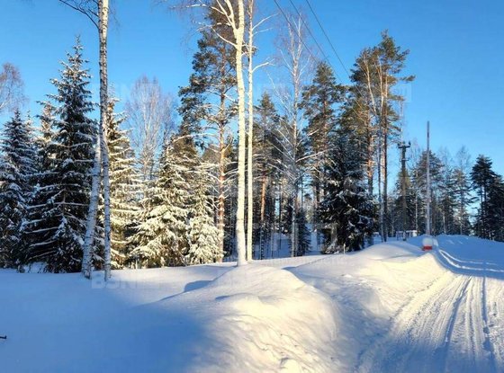 Продажа участка - Ленинградская область