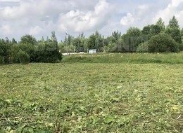 Продажа участка - Россия, Ленинградская область, Гатчинский район, Новая (Елизаветинское с/п) д.