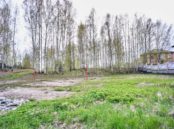 Продажа участка - Колтуши, Воейковское шоссе