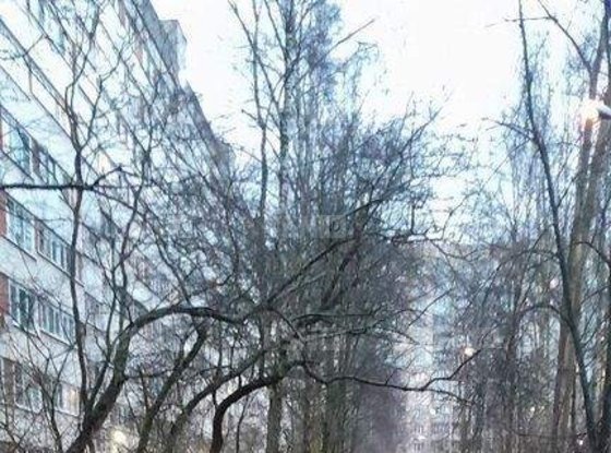 Продажа трехкомнатной квартиры - Луначарского проспект, д.56, корп.3 