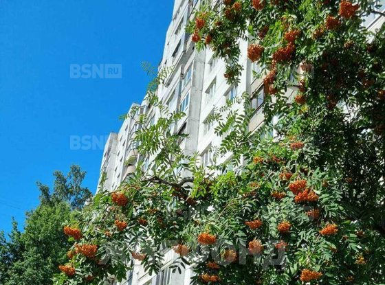 Продажа двухкомнатной квартиры - Кораблестроителей улица, д.50 