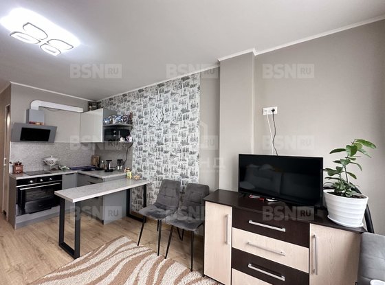 Продажа однокомнатной квартиры - Мурино, Шоссе в Лаврики улица, д.63 