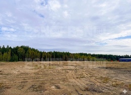 Продажа земельного участка - Ленинградская обл., Всеволожский р-н, Всеволожское городское поселение 
