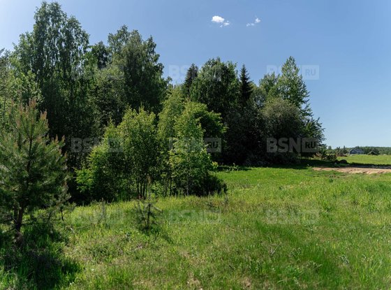 Продажа участка - поселок Сосново, Ленинградская улица