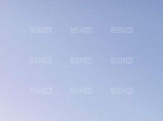 Продажа дома - Ленинградская область, Фауна территория снт, д.197