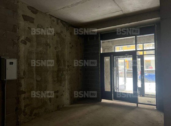 Аренда универсального помещения - поселок Шушары, Окуловская улица, д.18 