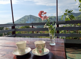 Продажа дачи - Краснодарский край, Туапсинский район, СТ Машиностроитель тер.