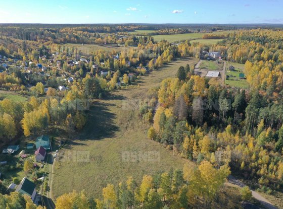 Продажа участка - поселок Сосново, Ленинградская улица